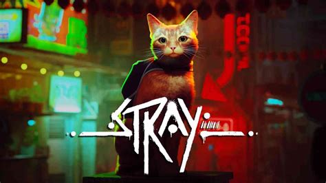 Stray Wiki .